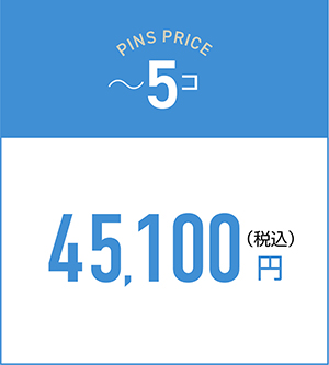 ～5コの料金45,100円