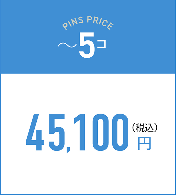 ~5コの料金45,100円